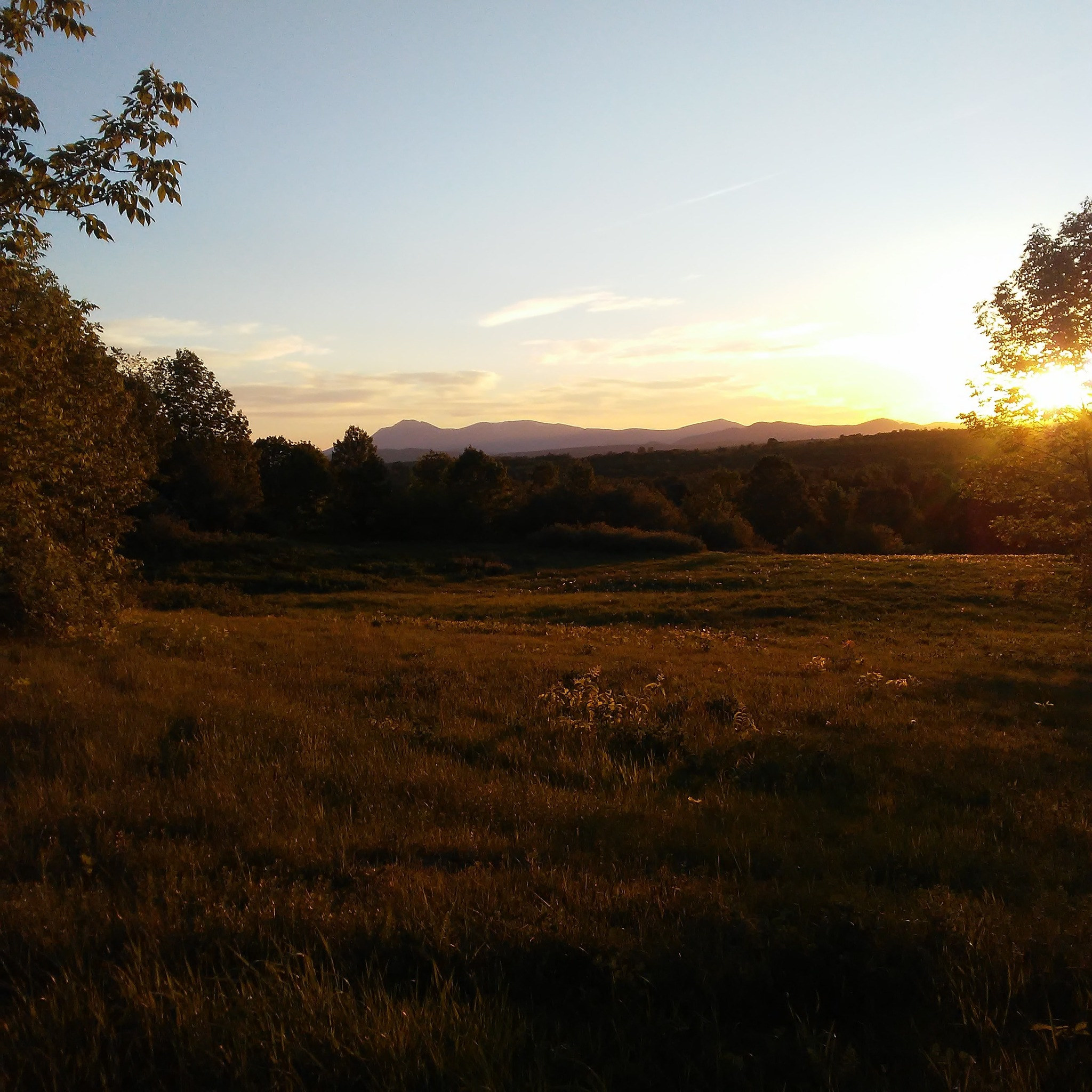 Historic Qualey Homestead & Forest
