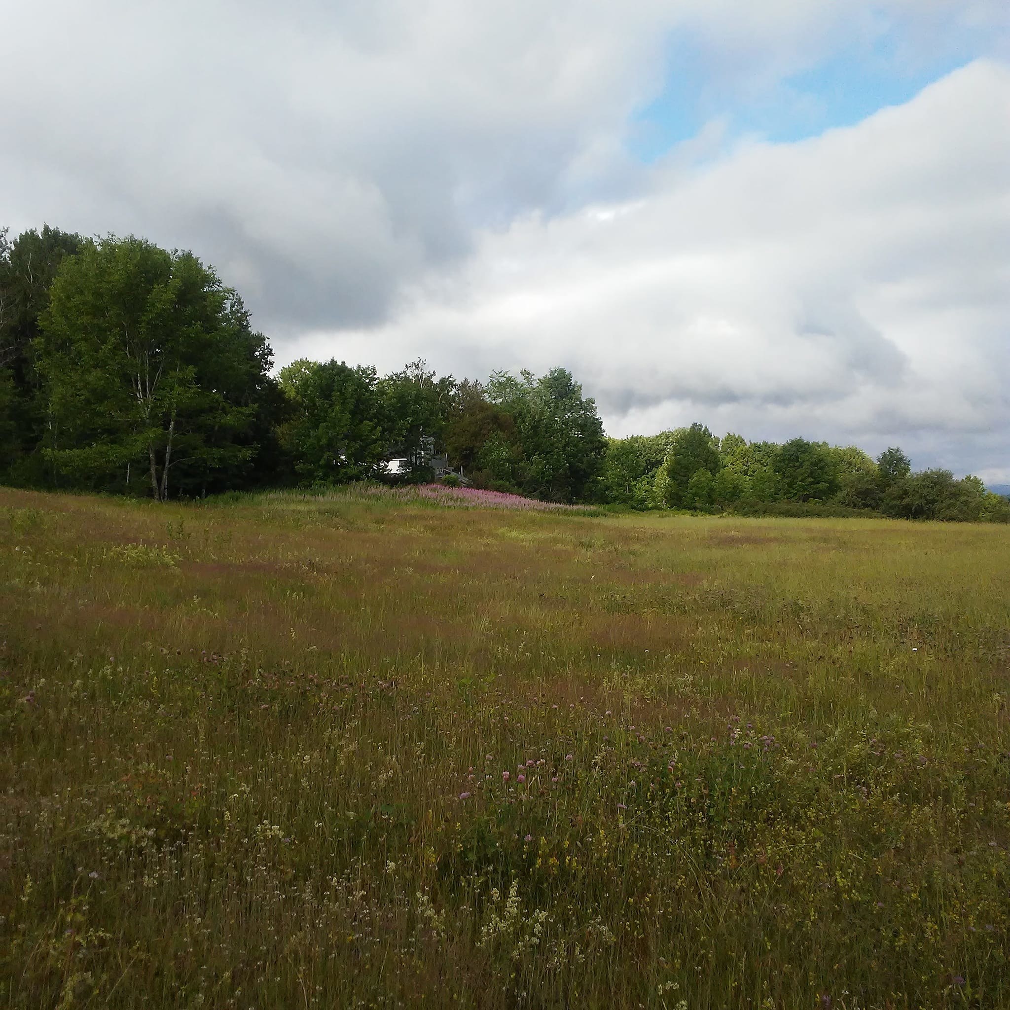 Historic Qualey Homestead & Forest