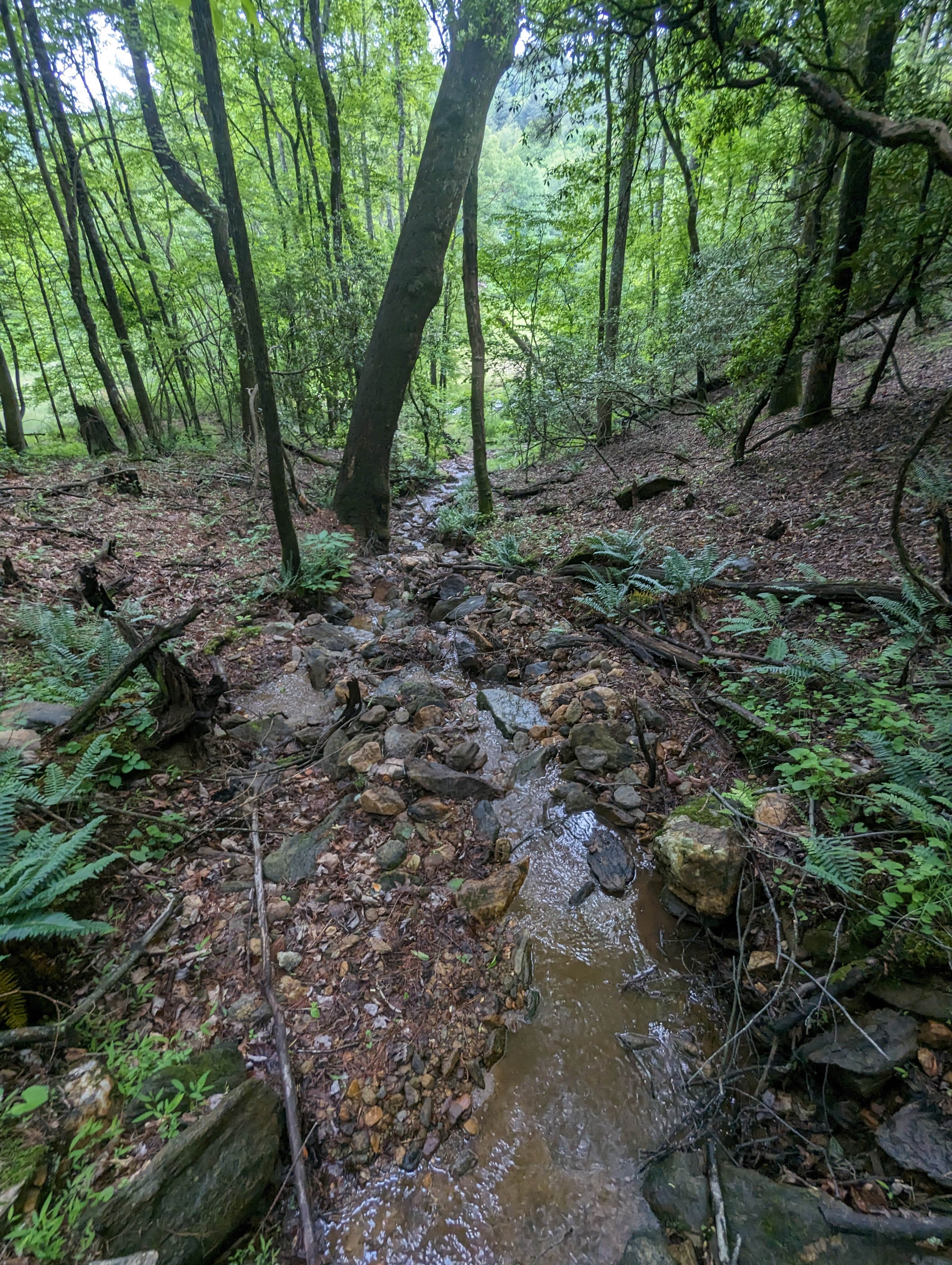 Blue Ridge Creek Bus