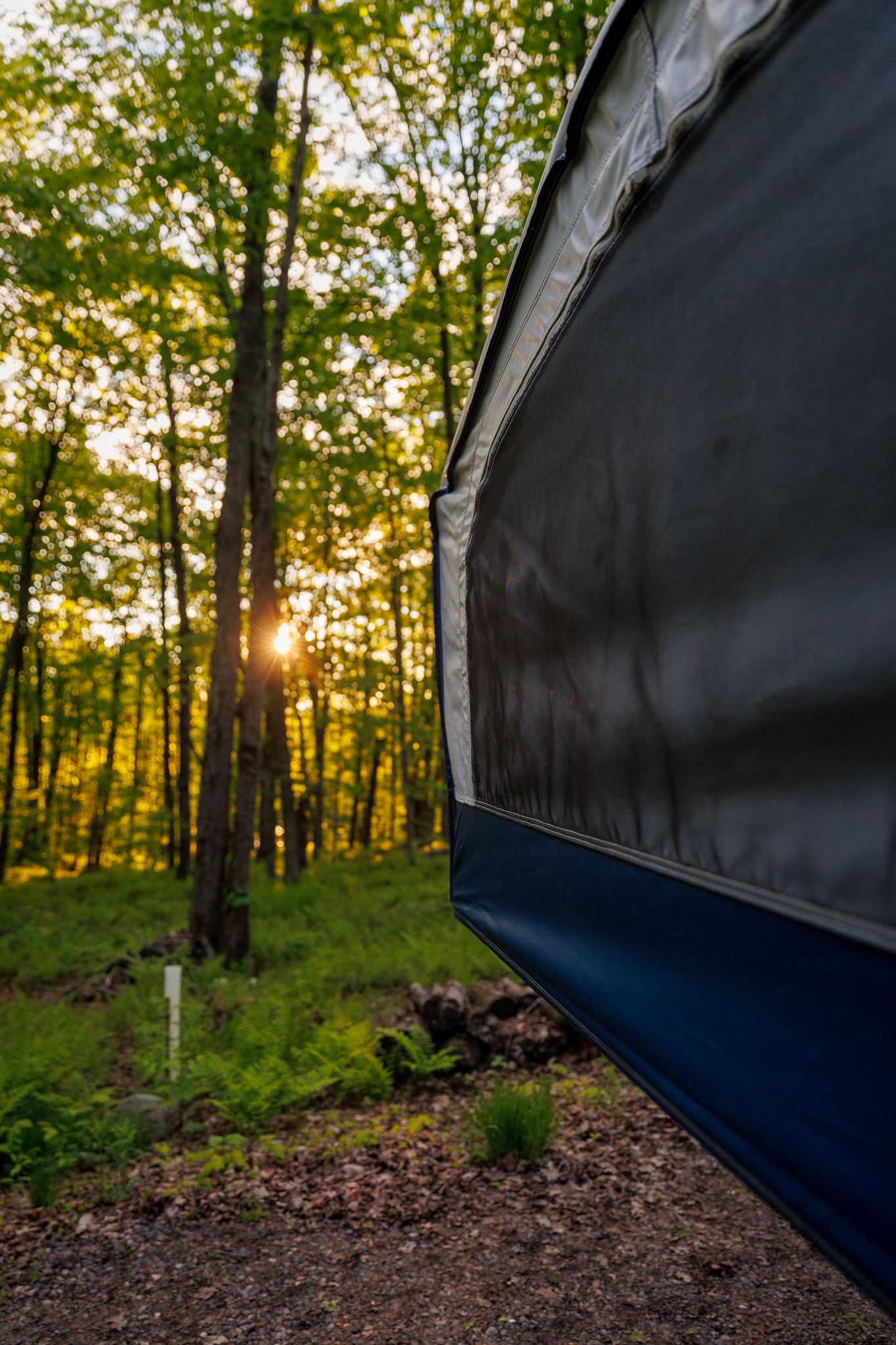 The camper area is at the top of a hill, so the sunrises are stunning.
