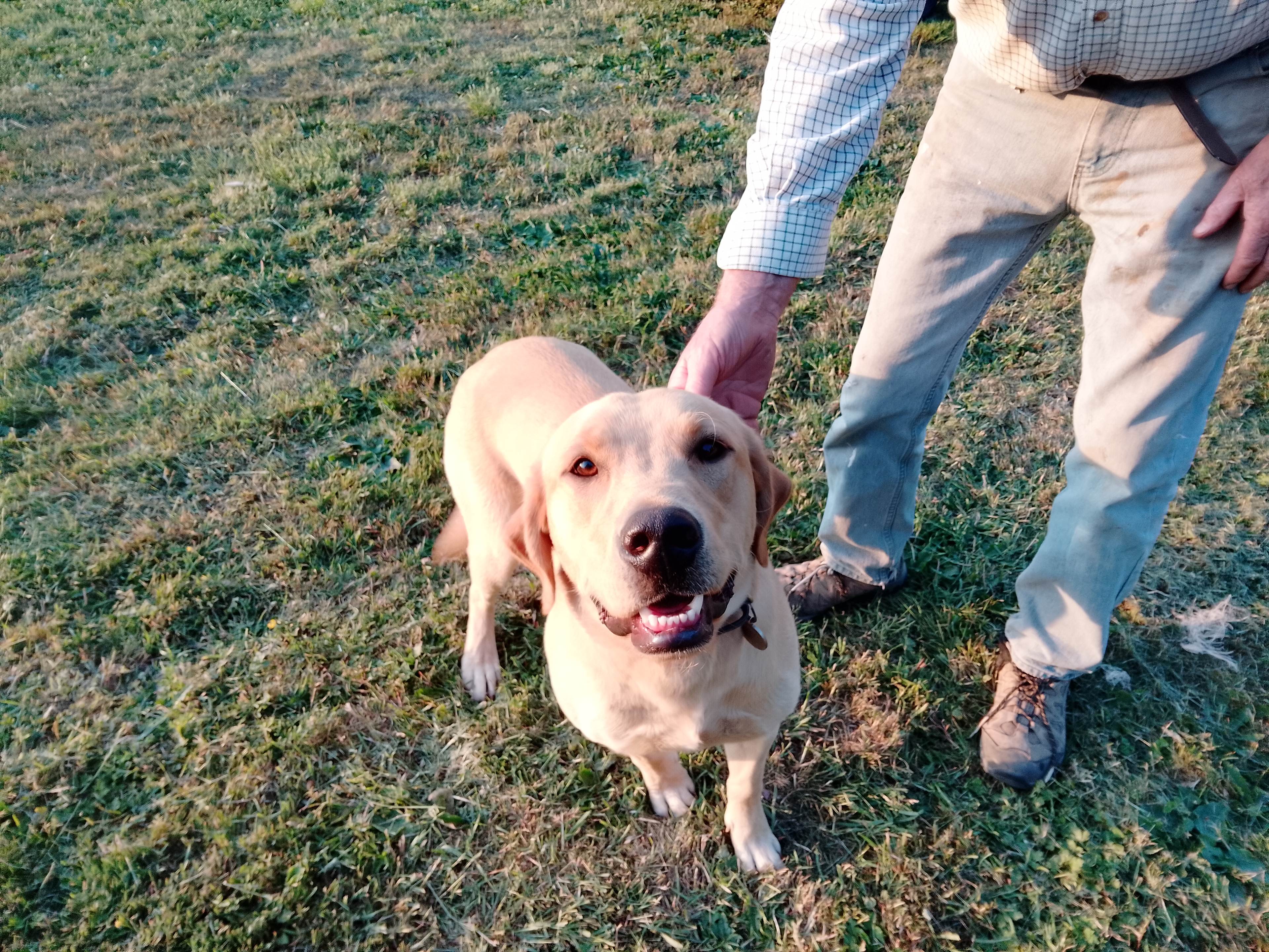 The  Meadow @ Waples Mill