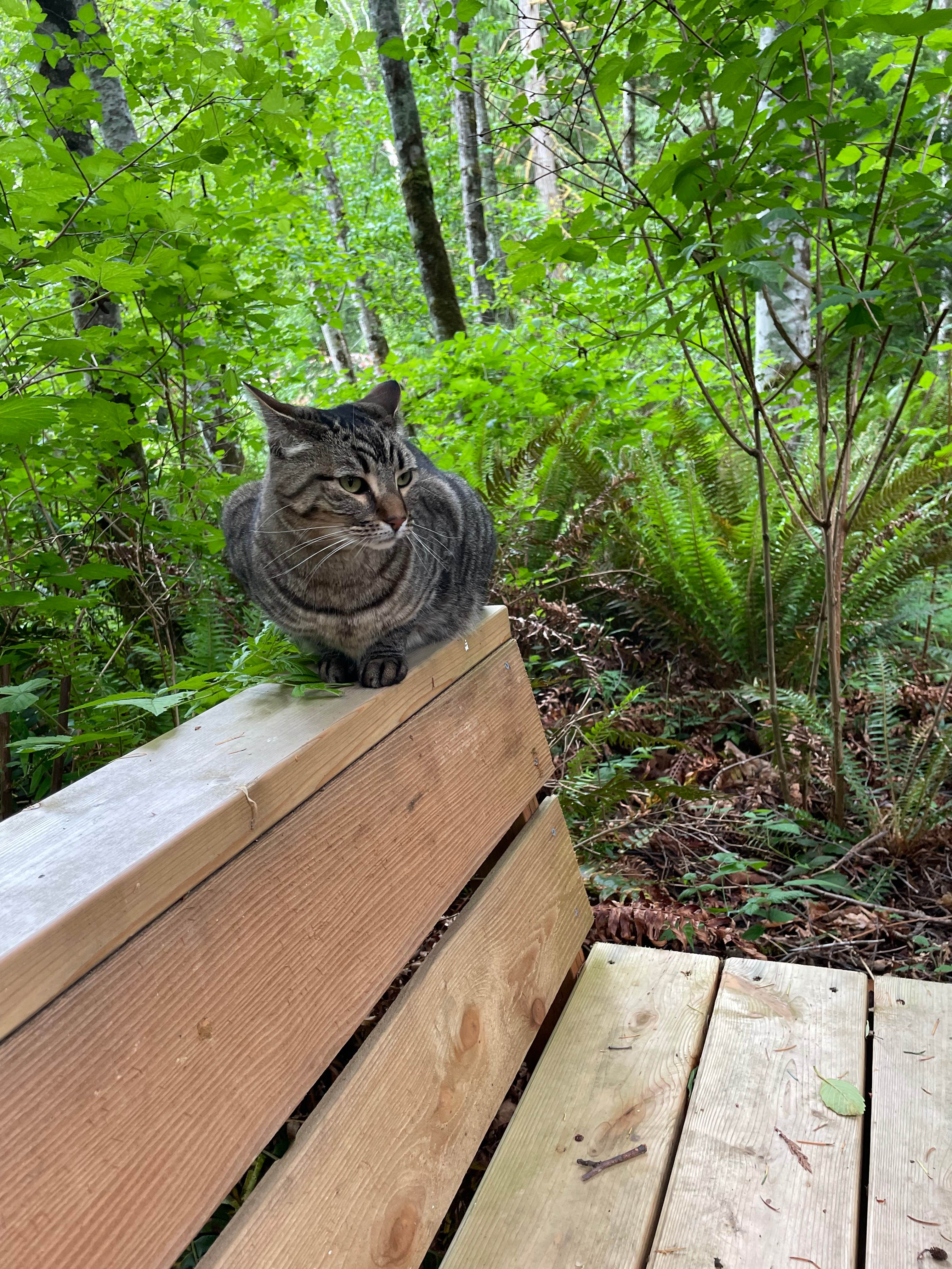 Marble Creek Retreat