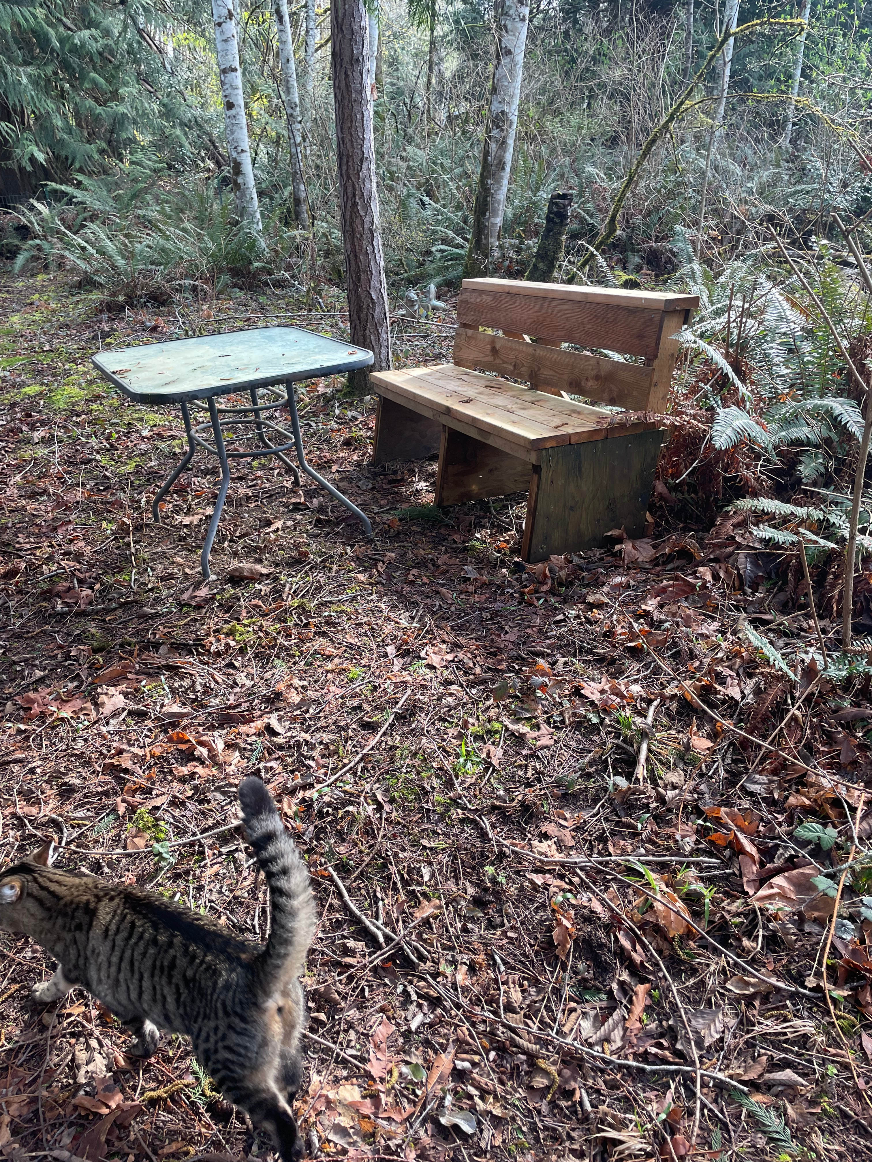 Marble Creek Retreat