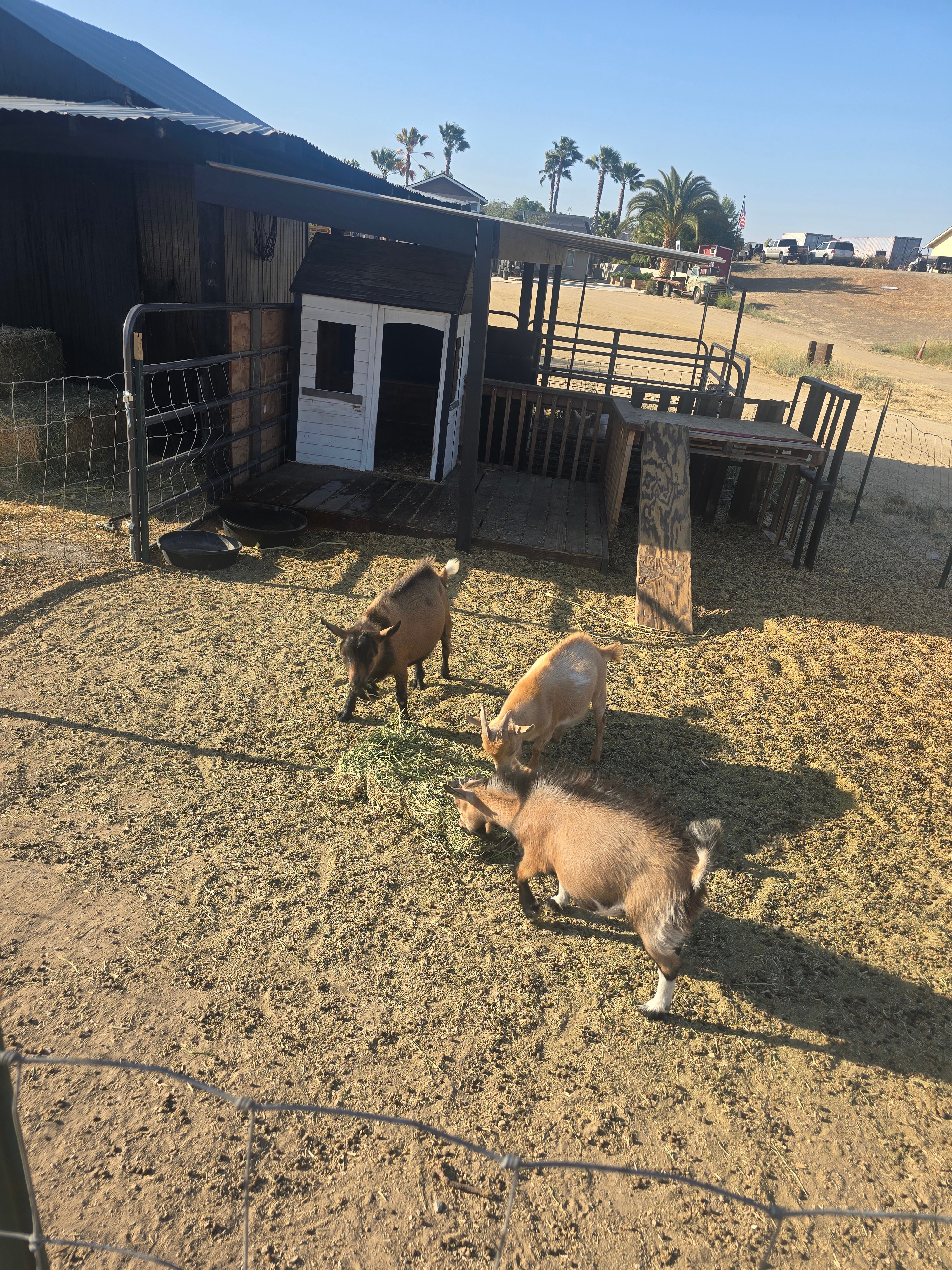Rancho no Tengo dinero