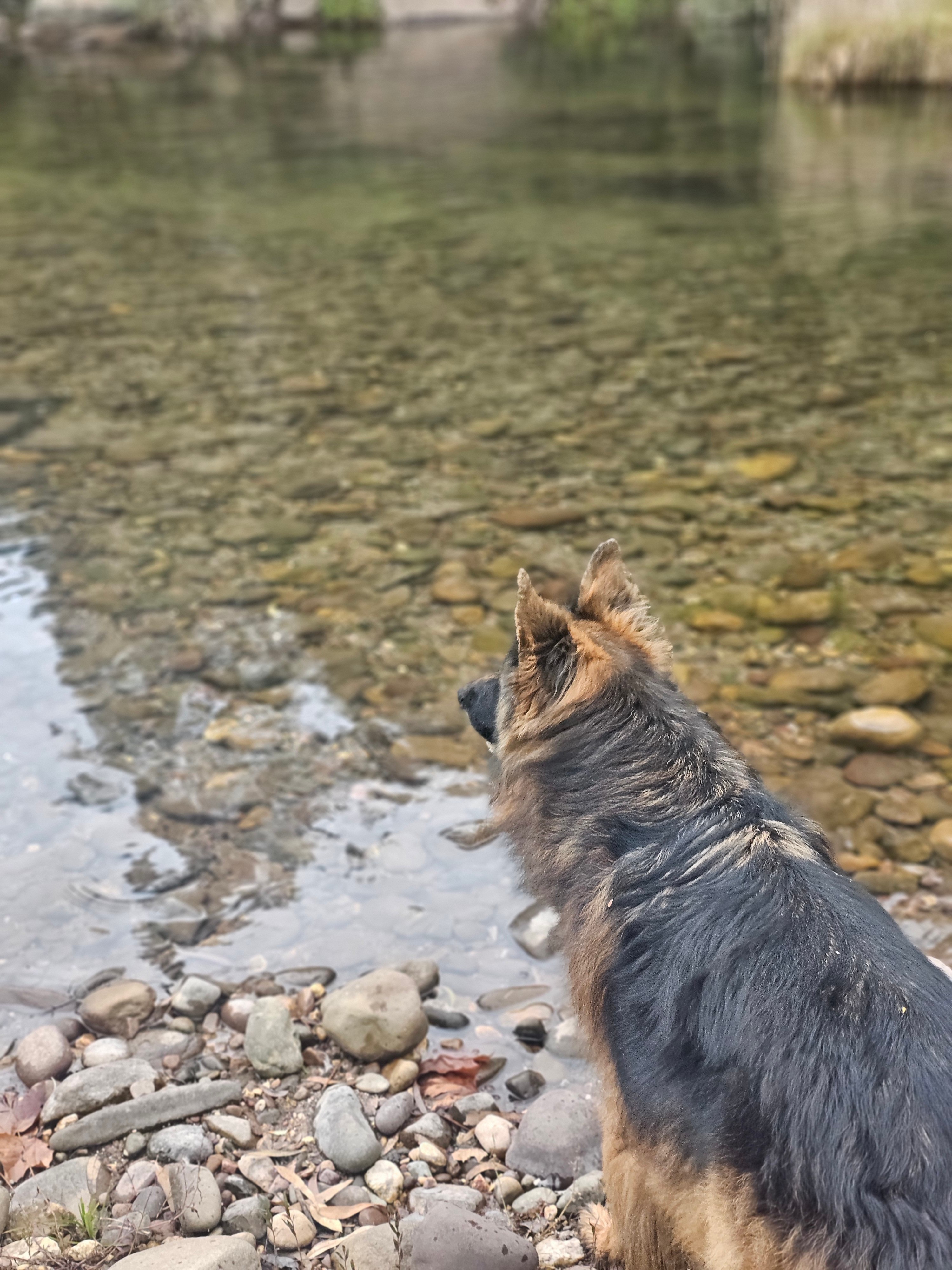 Our boy enjoying the creek