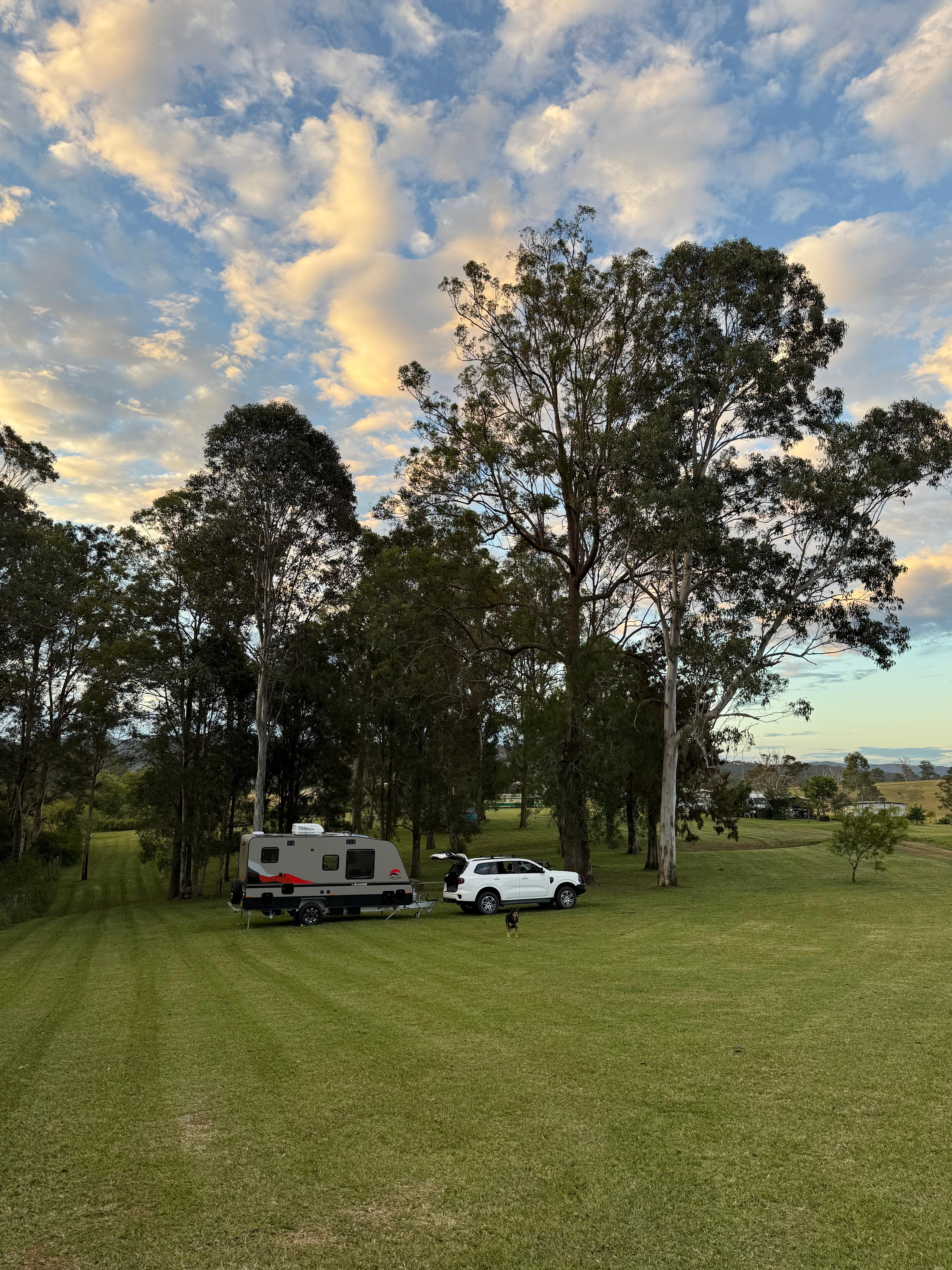 Homegrown Organics Farm