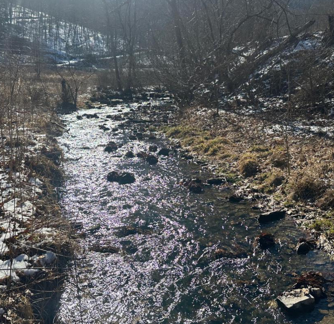 Limestone Run Primitive Camping