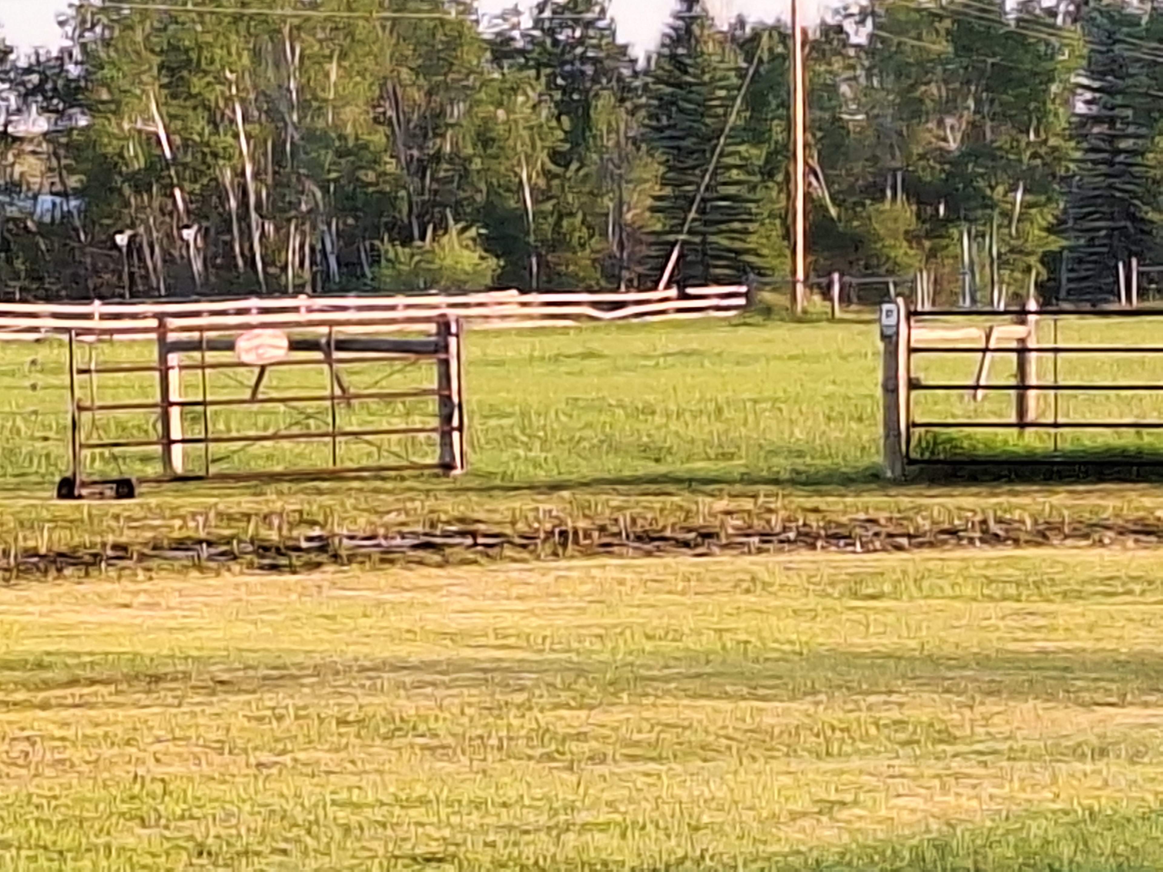 Mission Mountain Field Of Dreams