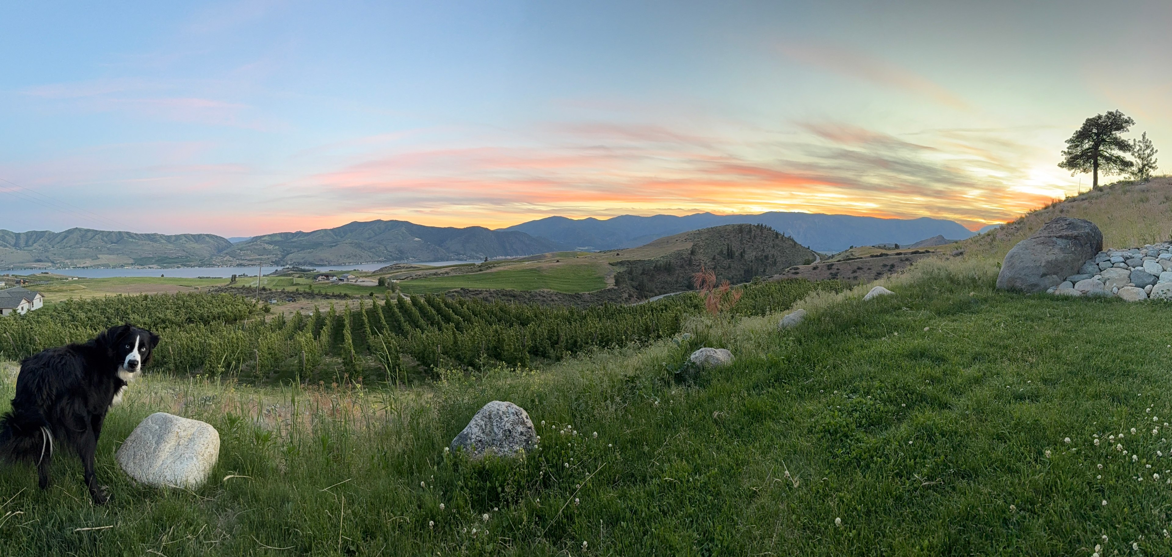 Farm Stays At Chelan Ranch