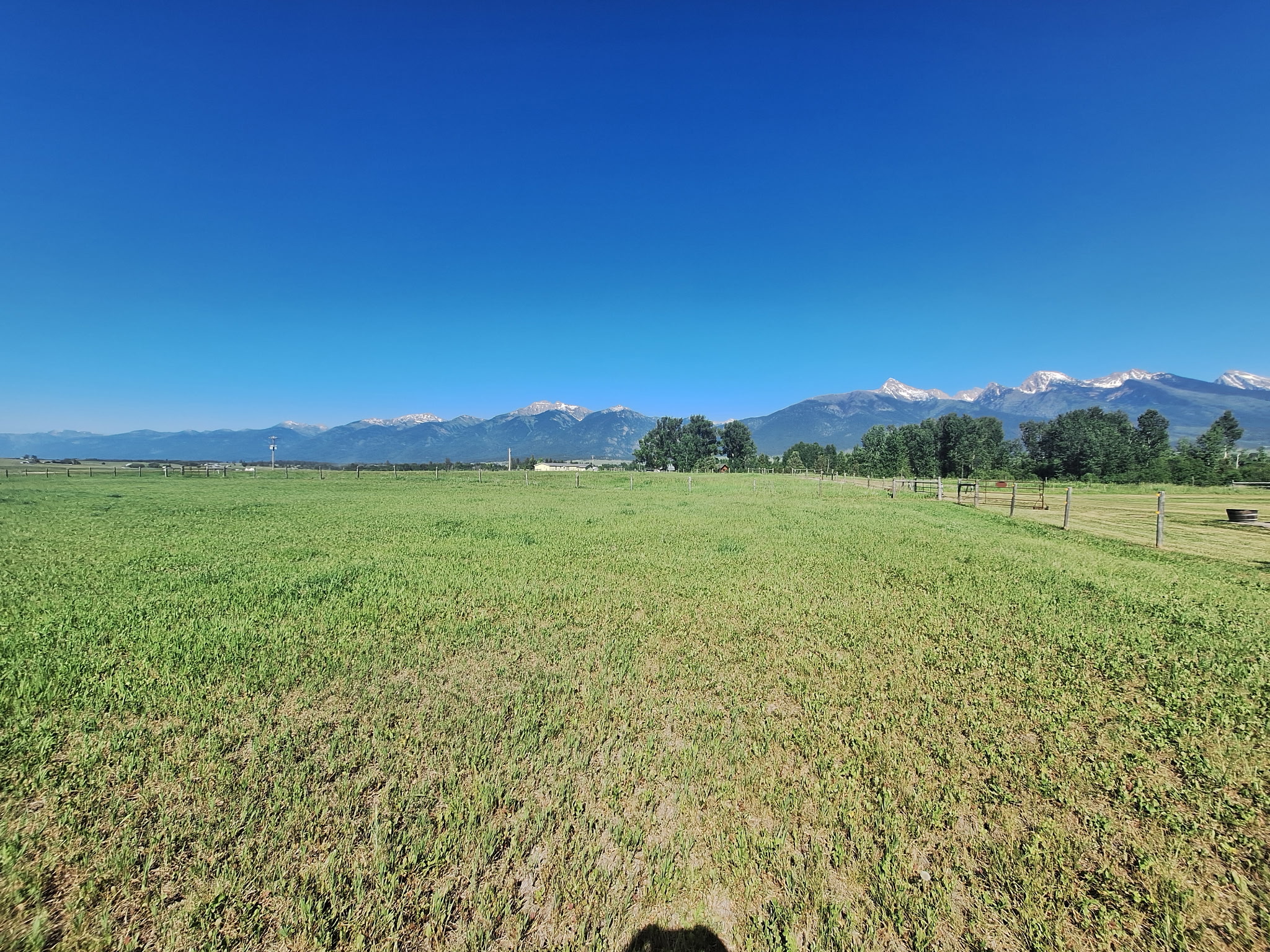 Mission Mountain Field Of Dreams
