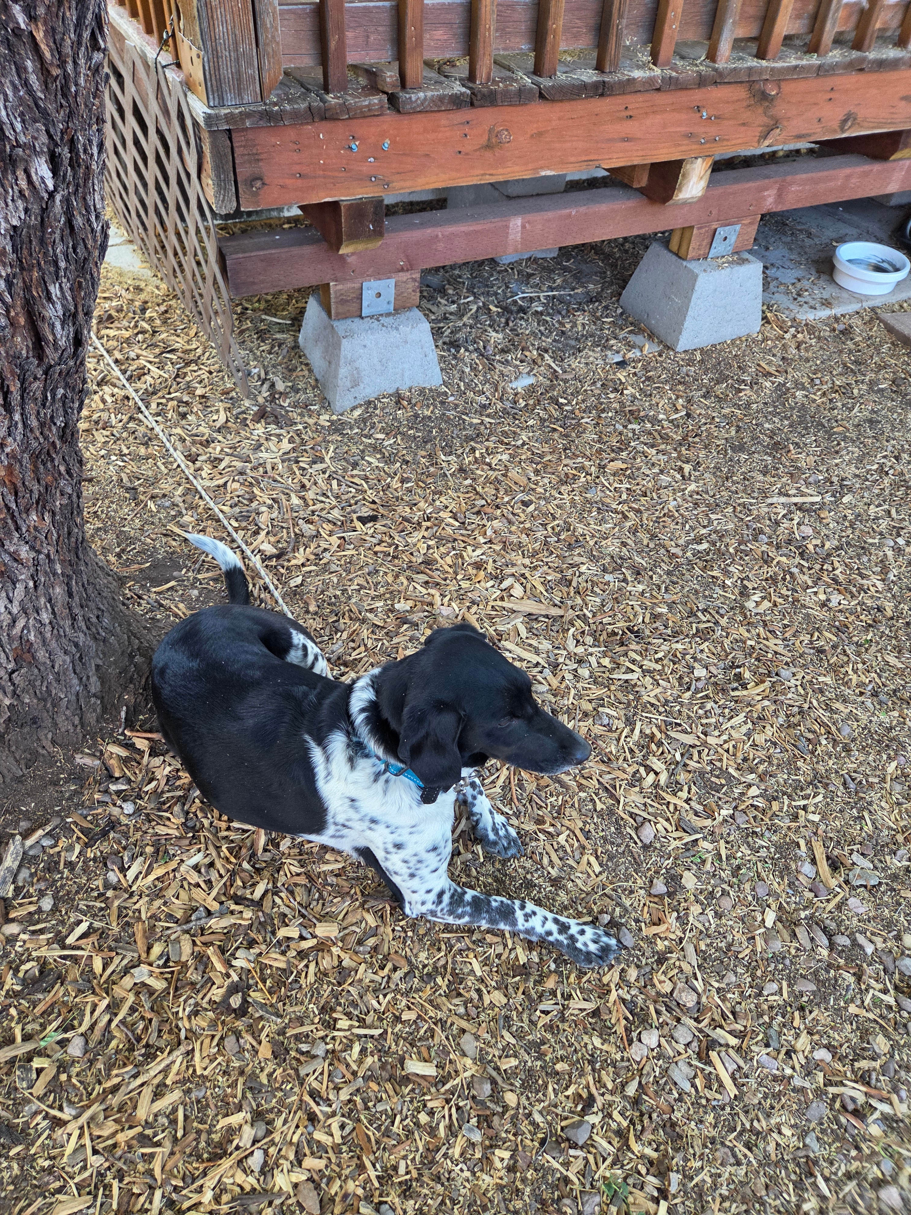 TerraSol in Patagonia, Arizona