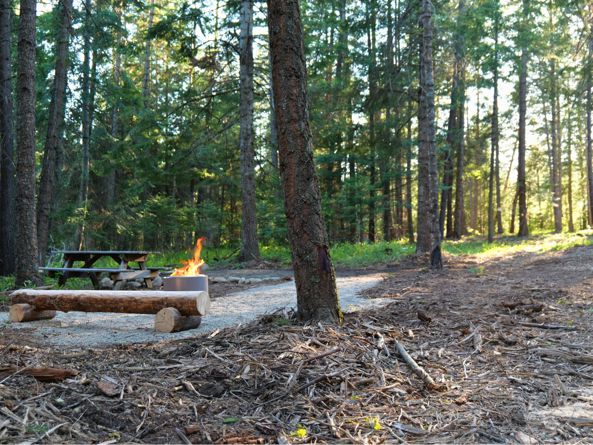 This is the entire scene of 'The Daisy Den.' It's private, spacious, and has great trees for a hammock!