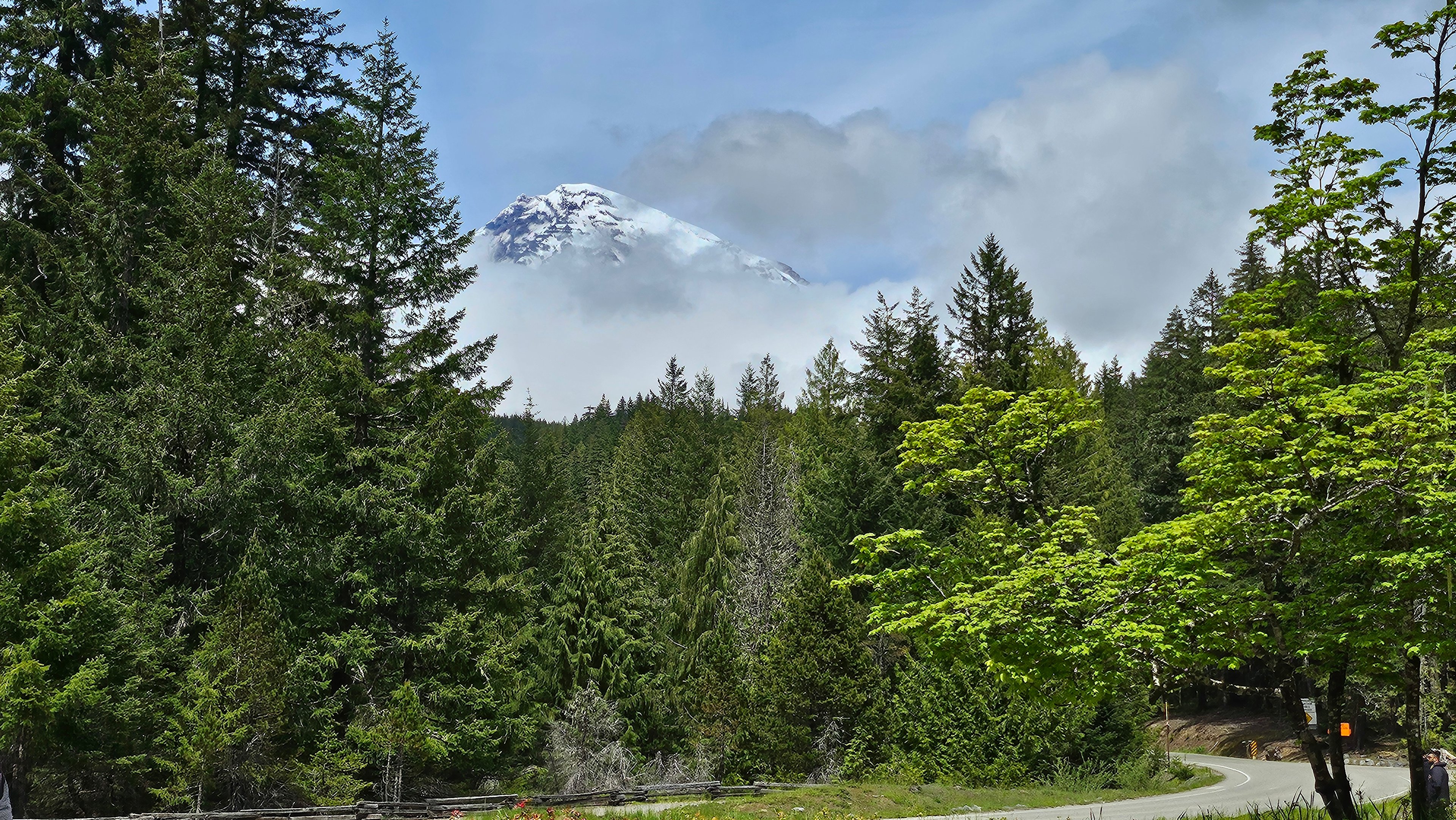 Mt. Rainier