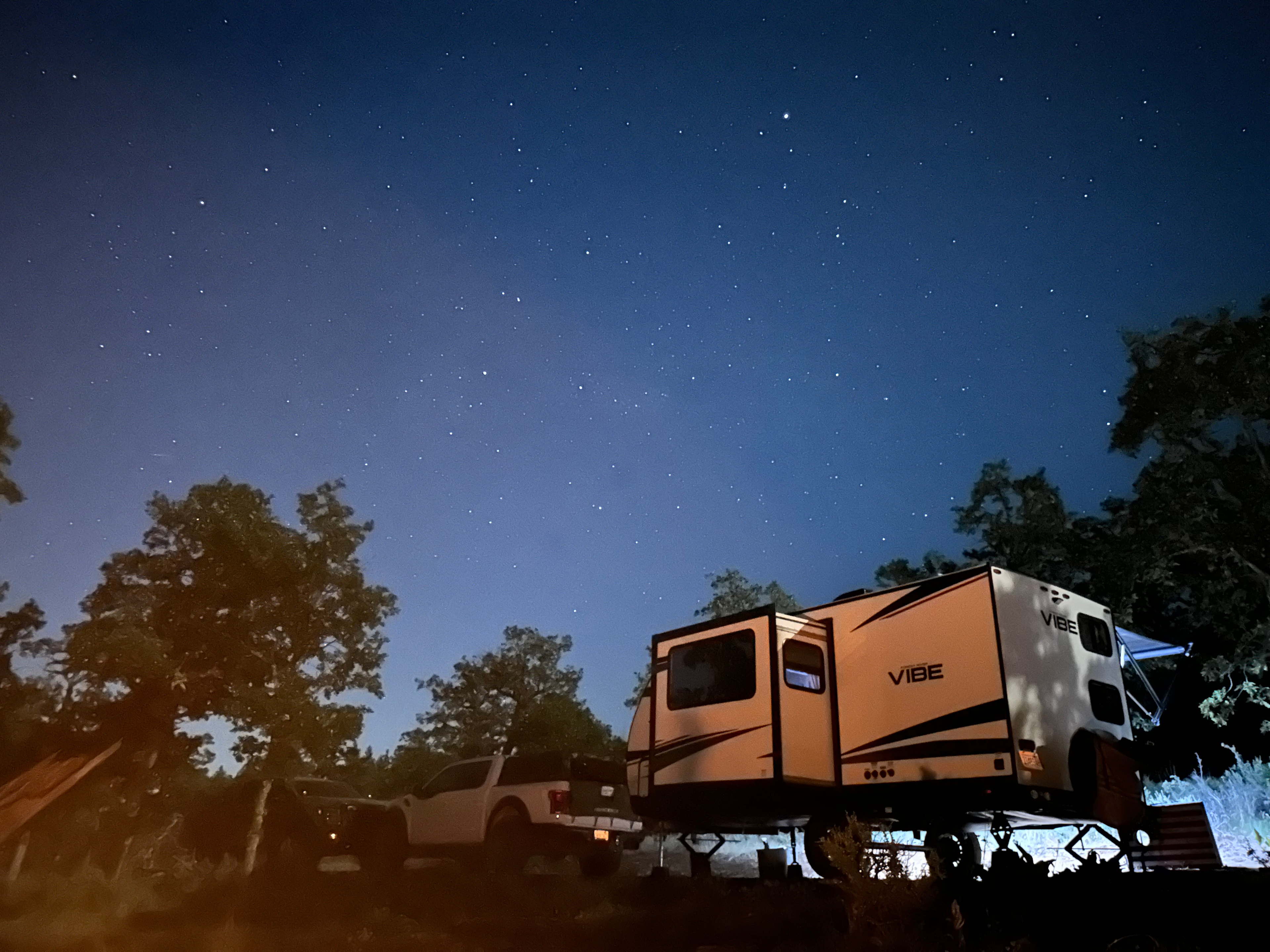 Cat's Forest Retreat