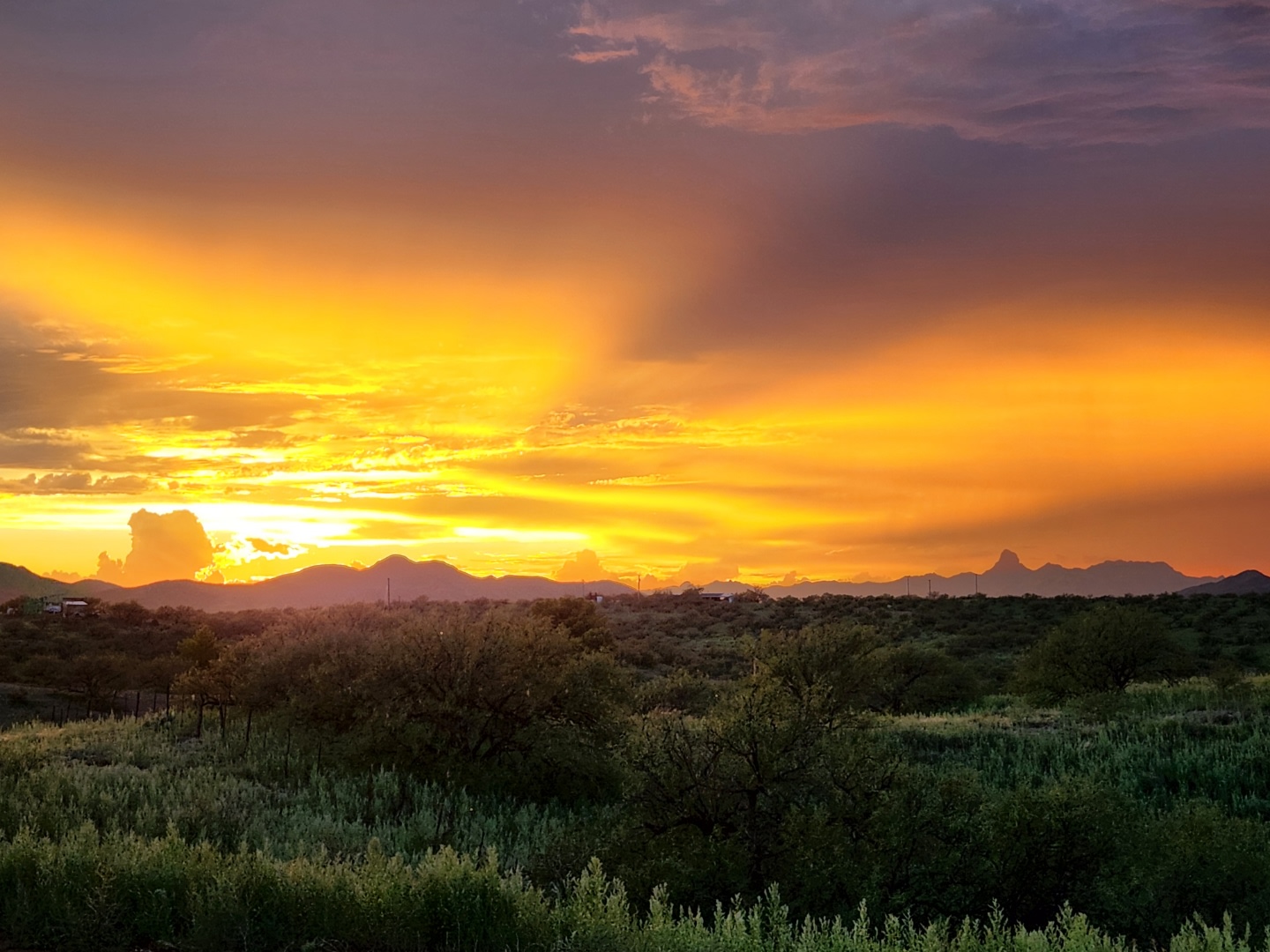 Awesome sunsets 🌅 