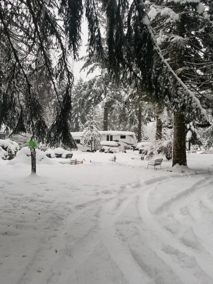 Cougar R V Park & Campground