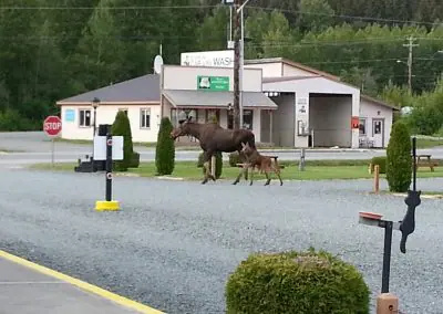 Haines Hitch-Up RV Park