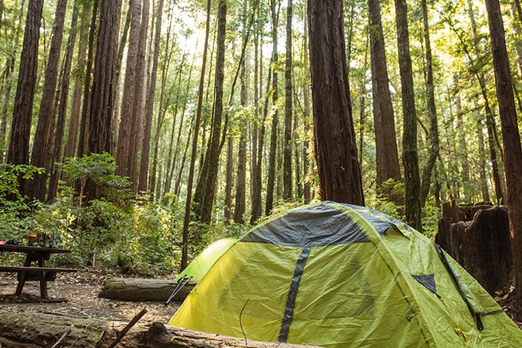 Glacier Nalu Campground Resort