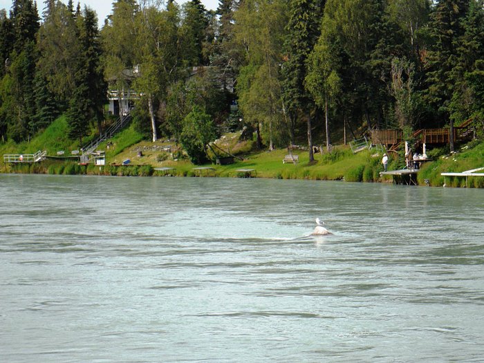 Edgewater Lodge and RV Park