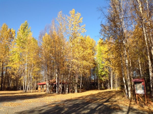 Trapper Creek Inn RV Park