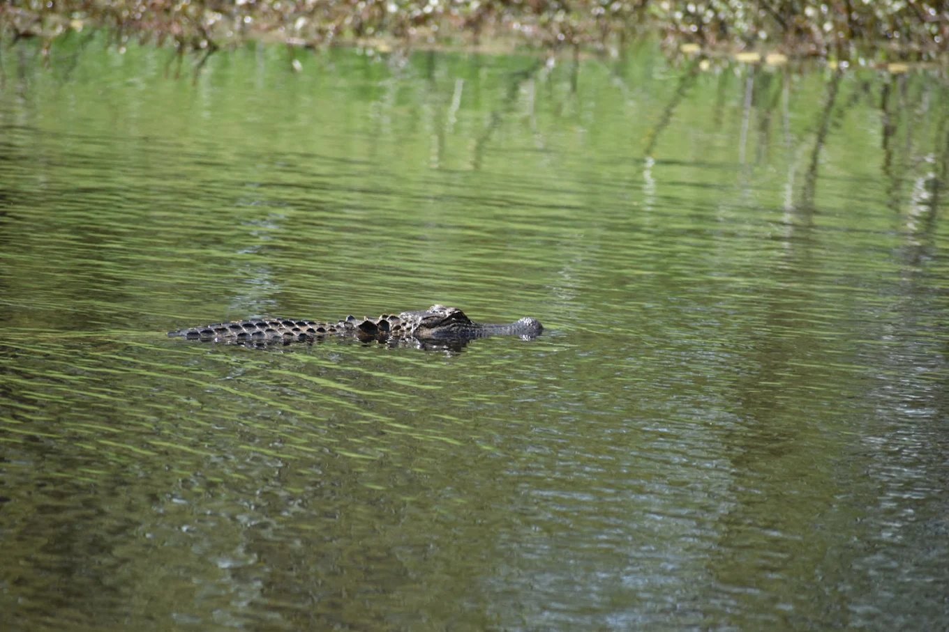 Millwood Landing Golf and RV Resort