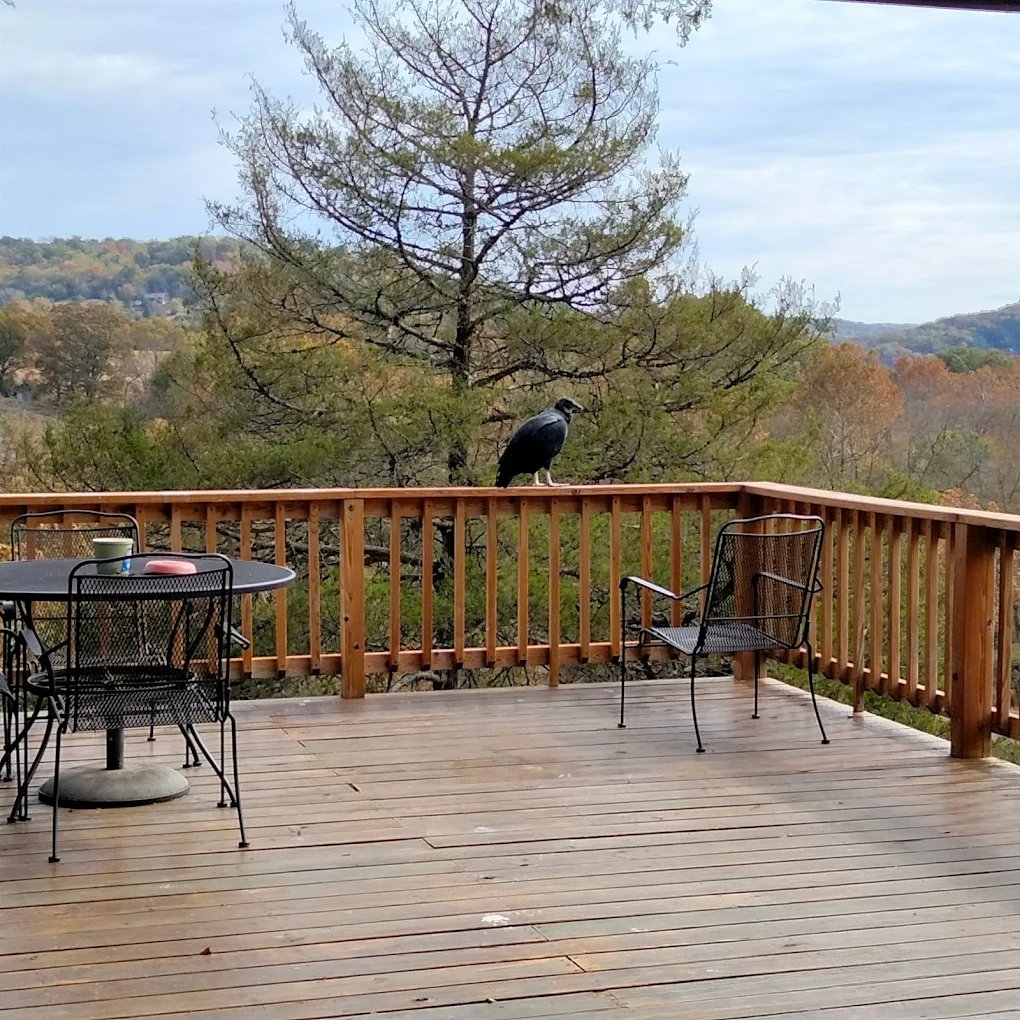 Spider Creek Resort