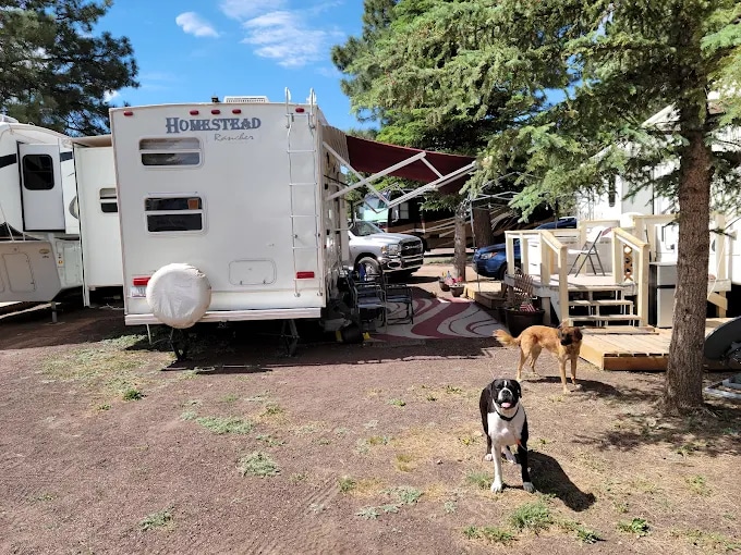 Mormon Lake Lodge RV Park and Campground