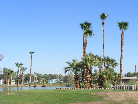 Desert Trails RV Park