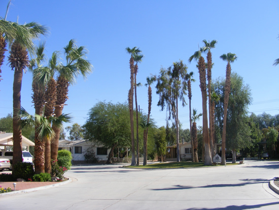 Desert Trails RV Park