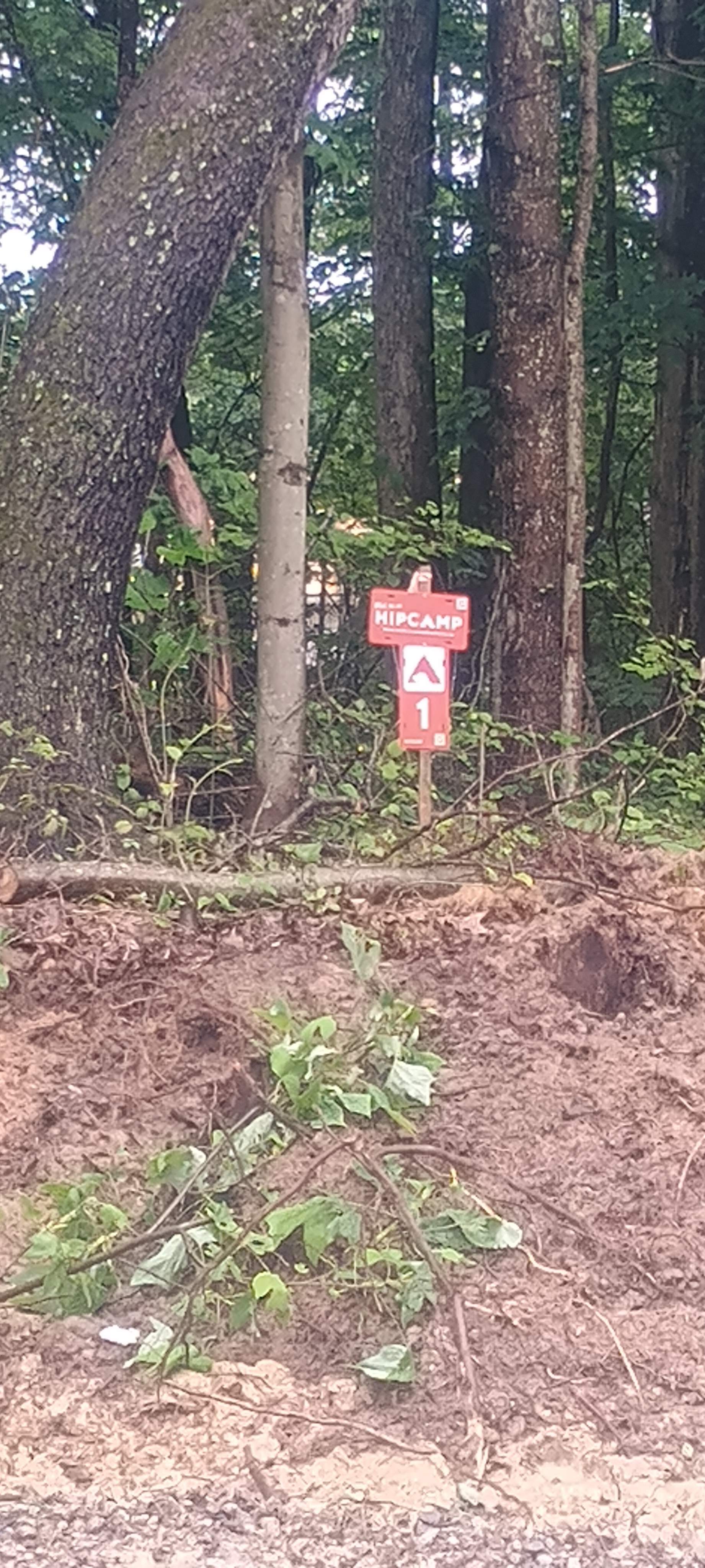 Wild Ridge Campsites