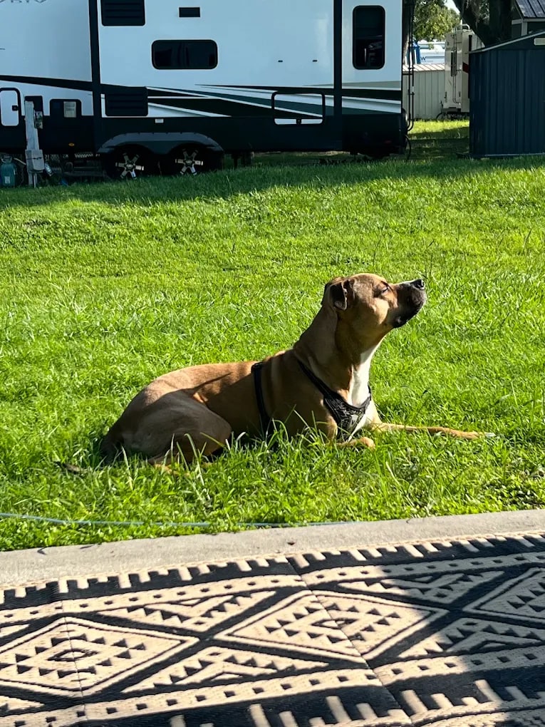 Citrus Hills RV Park