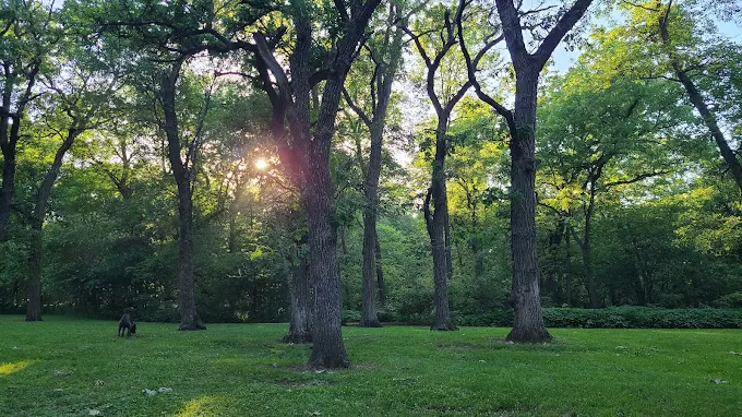 Cold Springs Park