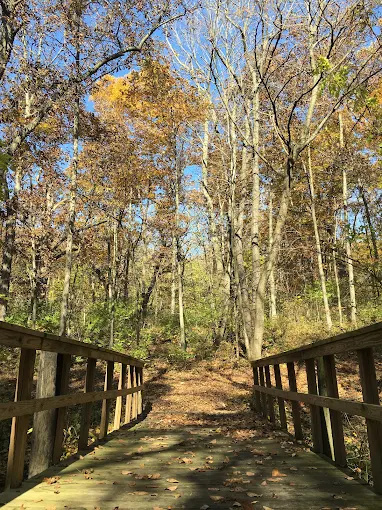 Virginia Grove Rec Area
