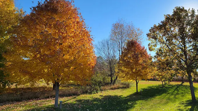 F W Kent County Park