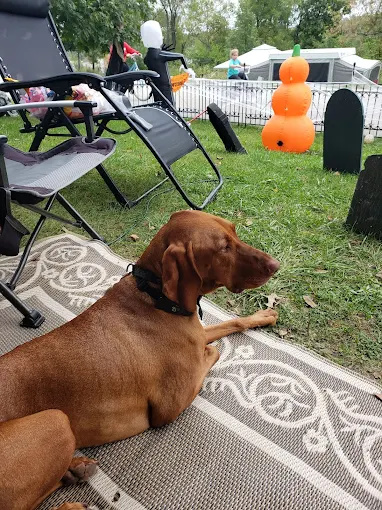 Lake Iowa County Park