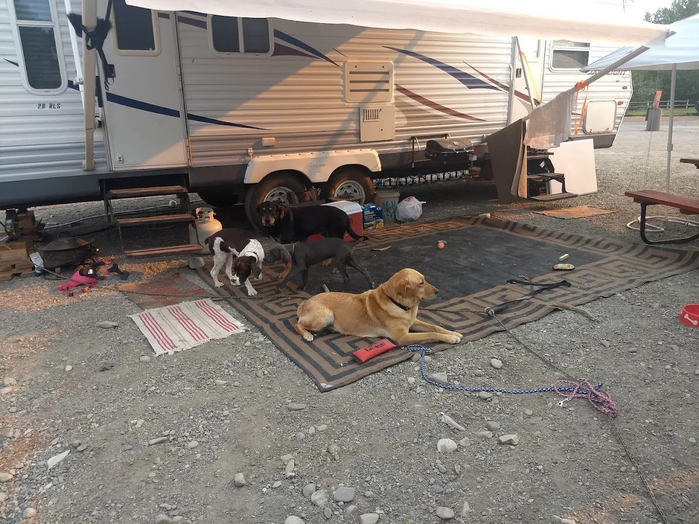 Riverside RV Park and Campground