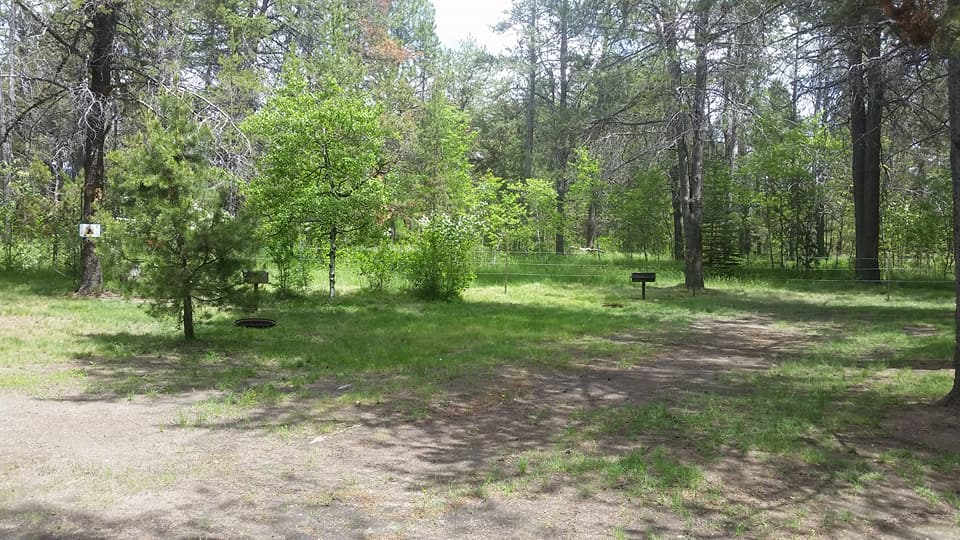 Pines RV Park and Storage