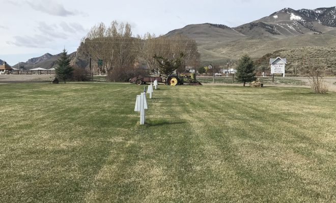 Wild Idaho Adventures RV Park