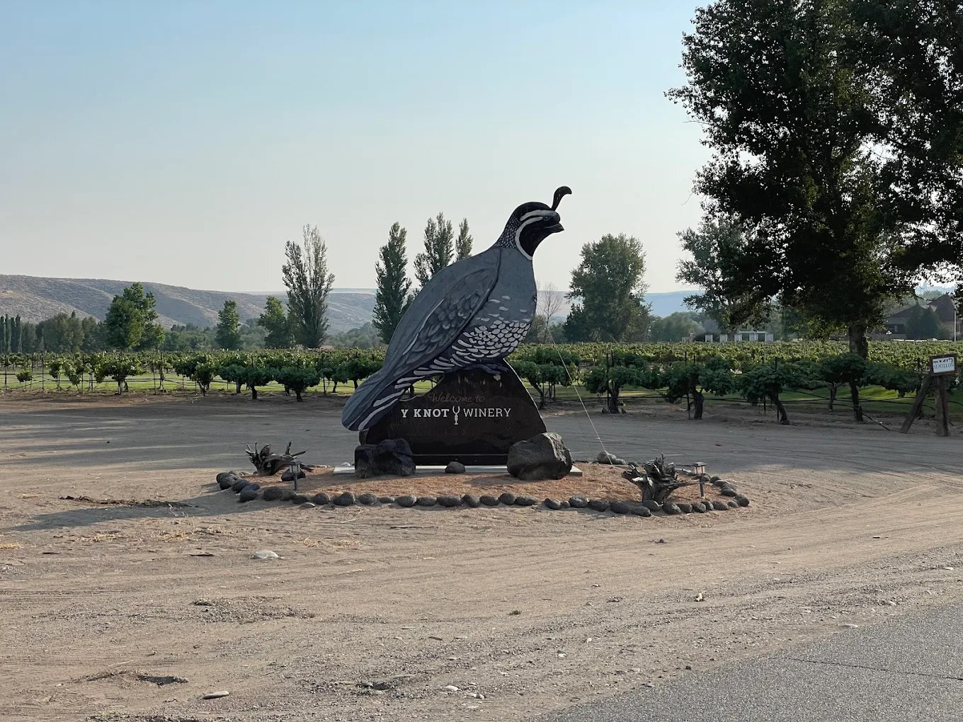 Y Knot Winery RV Park