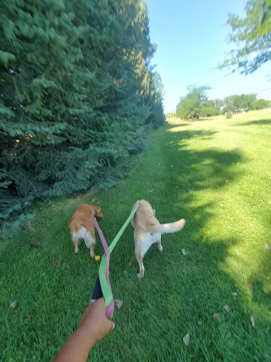 North Bingham County Park