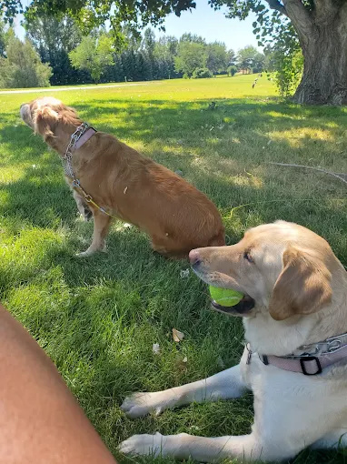 North Bingham County Park