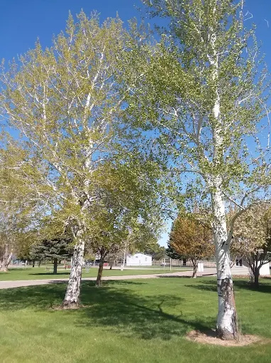 North Bingham County Park