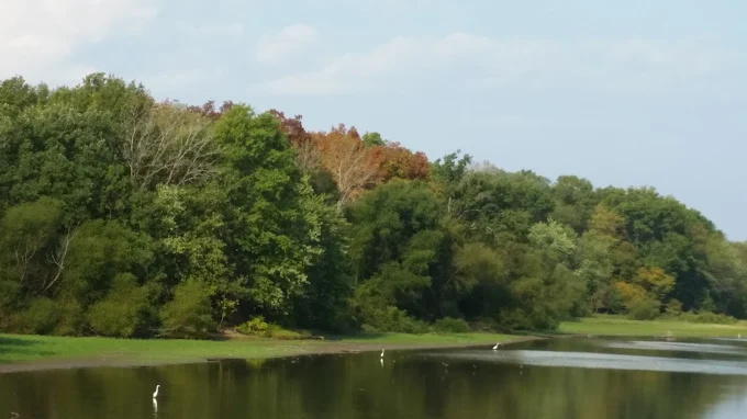 Hickory Shores Resort