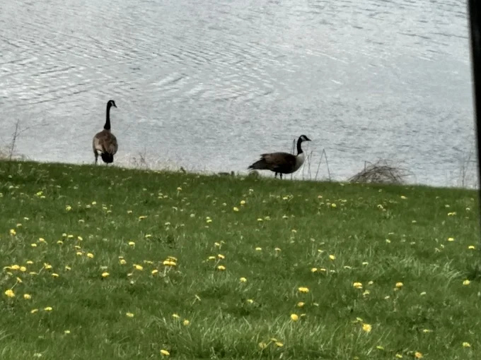 Citizens Lake Campground