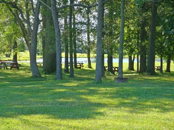 Wildwood Outdoor Escape