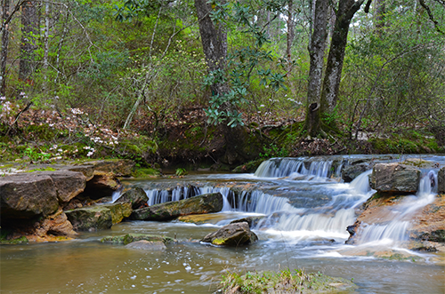 Pecan Acres RV Park