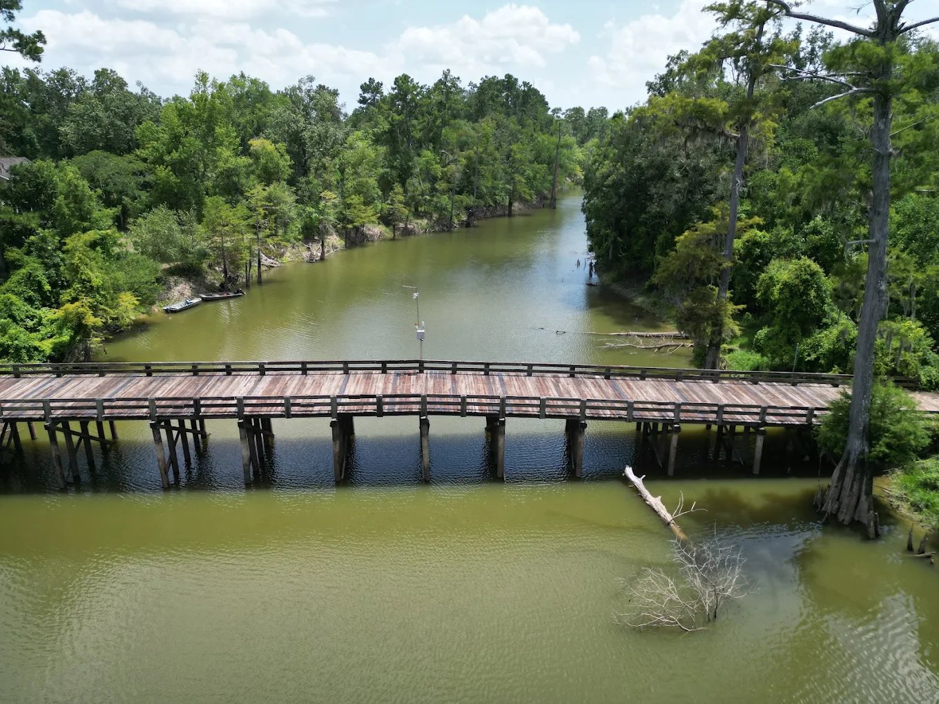 Alligator Park