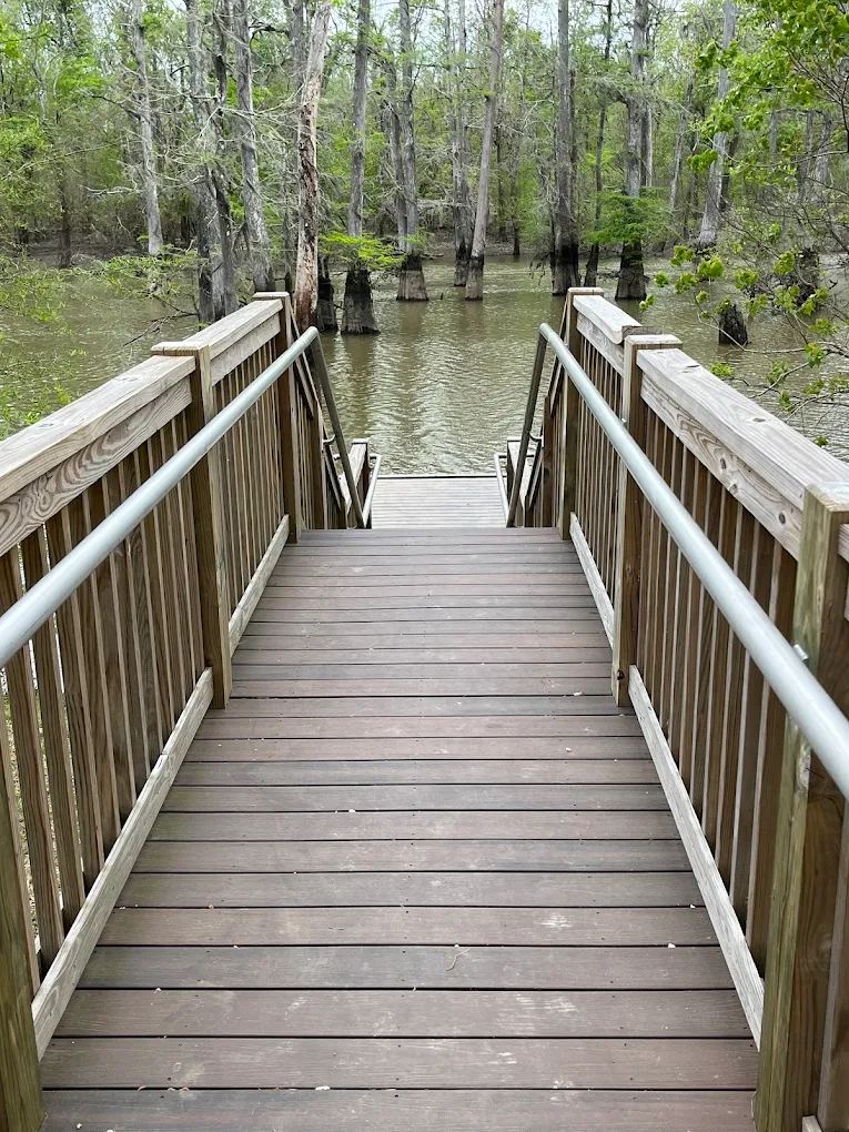 Alligator Park