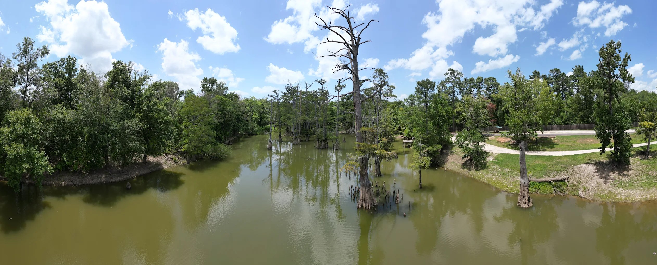 Alligator Park