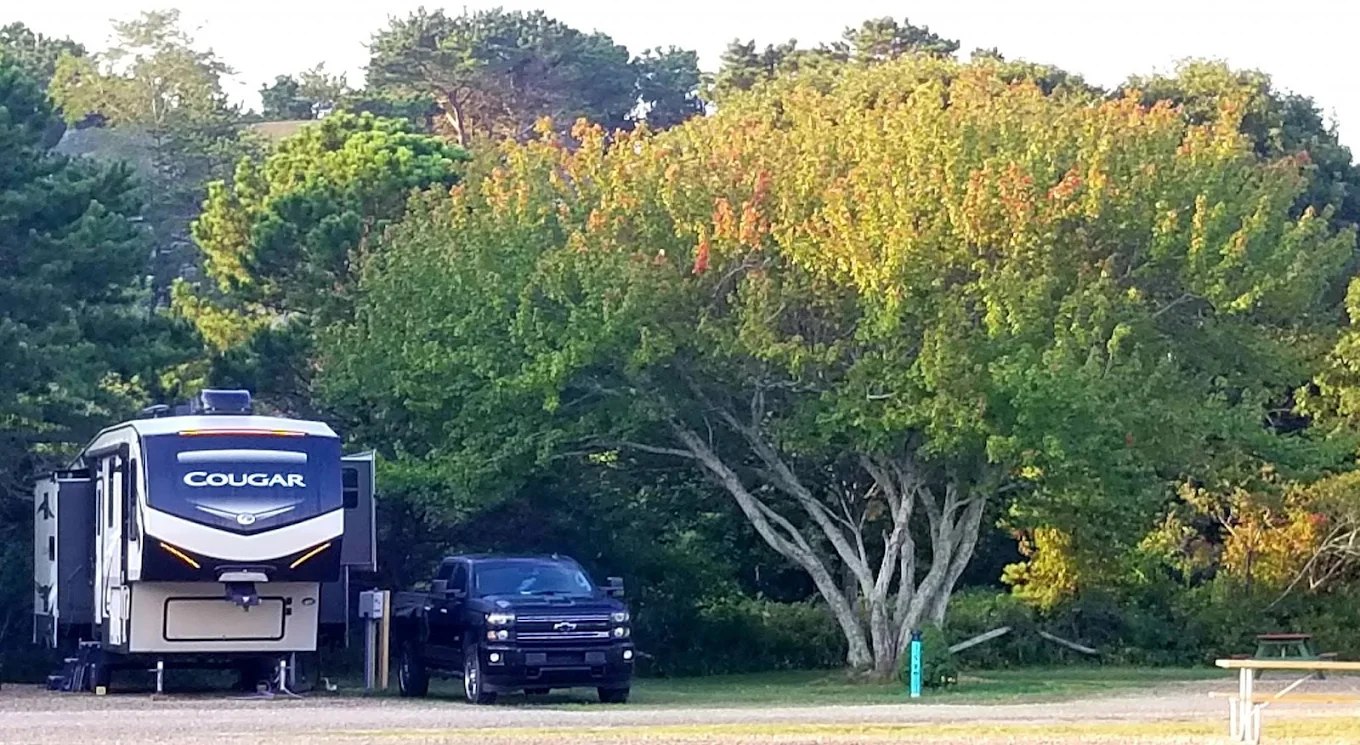 Coastal Acres Camping Court